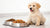 Can Adult Dog Food Hurt a Puppy? Understanding the Nutritional Needs of Growing Dogs