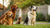 Can Adult Dogs Safely Eat Puppy Food? Understanding the Nutritional Needs of Dogs at Different Life Stages