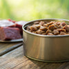 Can Canned Dog Food Go Bad? Understanding Shelf Life and Safety