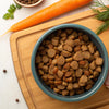Can Chicken Dog Food Cause Allergies? Understanding the Chicken Allergy in Dogs