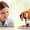 Can Dog Food Cause Skin Allergies? Understanding the Link and Finding Relief