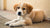 Can Dog Food Give Puppies Diarrhea? Understanding Diet's Impact on Digestive Health