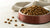 Can Dog Kibble Go Bad? Essential Insights for Pet Owners