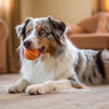 Can Dog Treats Cause Allergies? Understanding Your Pup's Dietary Needs