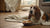 Can Dogs Drink Soy Milk? A Comprehensive Guide for Pet Owners