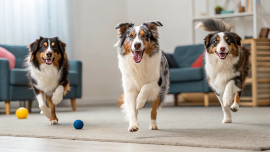 Can Dogs Eat Almond Biscuits? What Every Dog Owner Needs to Know