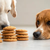 Can Dogs Eat Almond Cookies? Understanding the Risks and Providing Safe Treats