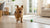 Can Dogs Eat Arugula? A Comprehensive Guide for Pet Owners