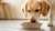 Can Dogs Eat Baking Powder in Food? Understanding the Risks and Recommendations