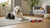 Can Dogs Eat Beets? A Comprehensive Guide for Pet Owners