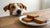 Can Dogs Eat Bourbon Biscuits? Understanding the Risks for Our Furry Friends-141107364079