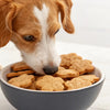 Can Dogs Eat Butter Coconut Biscuits? Understanding the Risks and Alternatives