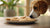 Can Dogs Eat Butter Cookies? Understanding the Risks and Alternatives-140928647407