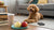 Can Dogs Eat Capers? Understanding the Risks and Alternatives