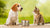 Can Dogs Eat Cat Canned Food? Understanding the Risks and Benefits-140406128879