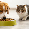 Can Dogs Eat Cat Food Dry? Understanding the Risks and Nutritional Differences