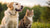 Can Dogs Eat Cat Food Every Day? Understanding the Nutritional Needs of Our Pets-140403900655