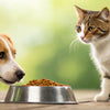 Can Dogs Eat Cat Wet Food? Understanding the Risks and Nutritional Needs