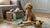 Can Dogs Eat Chicken Bones? Understanding the Risks and Safe Practices
