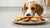 Can Dogs Eat Chocolate Chip Cookies? Understanding the Risks for Our Furry Friends-141103399151