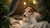 Can Dogs Eat Cinnamon Rolls? Understanding the Risks and Alternatives