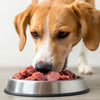 Can Dogs Eat Cold Raw Food? Understanding the Impact of Serving Temperatures