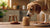 Can Dogs Eat Cookie Butter? Understanding the Risks and Alternatives-140927205615
