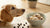 Can Dogs Eat Cookie Dough Ice Cream? Understanding the Risks and Better Alternatives-140924158191