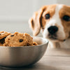 Can Dogs Eat Cookie Dough? Understanding the Risks and What to Do
