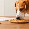 Can Dogs Eat Cookies with Chocolate? A Comprehensive Guide for Pet Owners