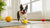 Can Dogs Eat Cottage Cheese? A Comprehensive Guide for Pet Owners