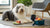 Can Dogs Eat Couscous? Understanding the Nutritional Benefits and Risks