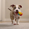 Can Dogs Eat Crab? A Comprehensive Guide for Pet Owners