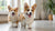 Can Dogs Eat Digestive Biscuits? Understanding Treats for Our Furry Friends