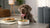 Can Dogs Eat Dragon Fruit? A Comprehensive Guide for Pet Owners