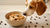 Can Dogs Eat Edible Cookie Dough? A Comprehensive Guide for Pet Owners