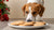 Can Dogs Eat Eggnog Cookies? Understanding Holiday Treat Safety for Your Pup-140925501679