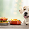 Can Dogs Eat Fast Food? What Every Pet Parent Should Know