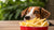 Can Dogs Eat Fast Food Fries? Exploring the Risks and Healthier Alternatives