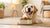 Can Dogs Eat Fermented Foods? Understanding the Benefits and Risks for Your Furry Friend