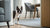 Can Dogs Eat Feta Cheese? Understanding the Risks and Benefits