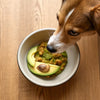 Can Dogs Eat Food Cooked in Avocado Oil?