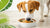 Can Dogs Eat Food Cooked in Coconut Oil? Exploring Safety, Benefits, and Risks-140294881519