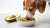Can Dogs Eat Food Cooked with Avocado Oil? A Comprehensive Guide for Pet Owners-140294095087