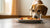 Can Dogs Eat Food Left Out Overnight? Understanding the Risks and Best Practices