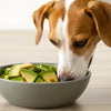 Can Dogs Eat Food With Avocado Oil? Safety and Risks