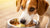Can Dogs Eat Food with Butter? Understanding the Risks of Sharing This Common Ingredient