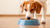 Can Dogs Eat Food with Cooked Onions in It? A Comprehensive Guide to Onion Toxicity in Dogs