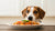 Can Dogs Eat Food with Garlic in It? Understanding the Risks and Safe Practices