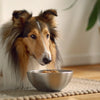 Can Dogs Eat Food with Onions? Understanding the Risks and Safe Practices